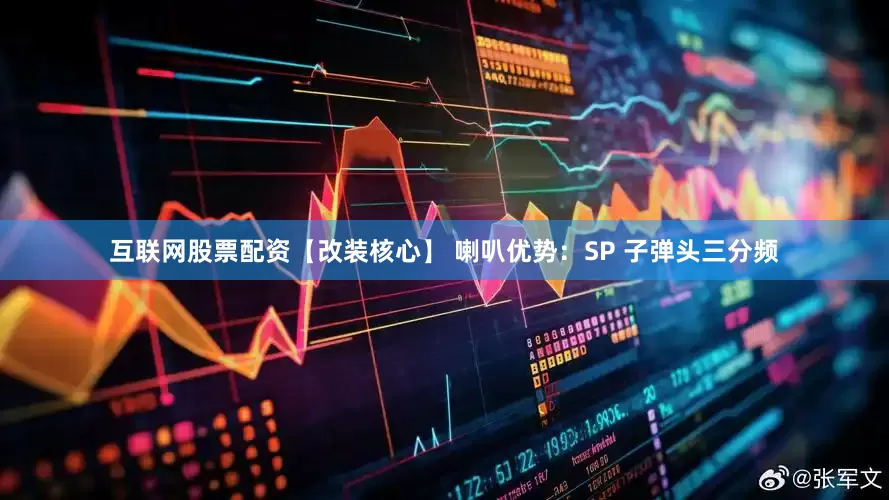 互联网股票配资【改装核心】 喇叭优势：SP 子弹头三分频