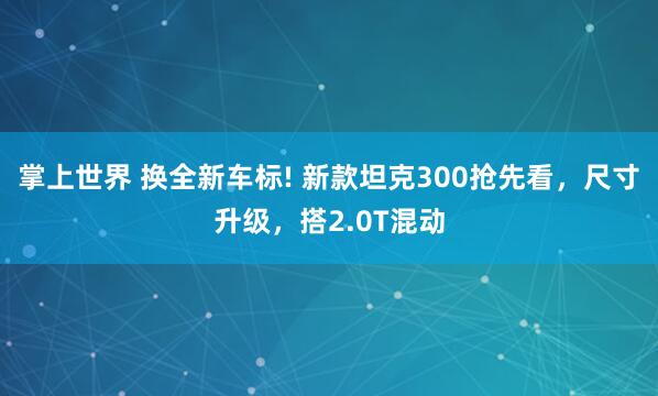 掌上世界 换全新车标! 新款坦克300抢先看，尺寸升级，搭2.0T混动